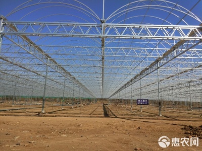 玻璃温室大棚工程 现代化农业的核心施工技术与应用