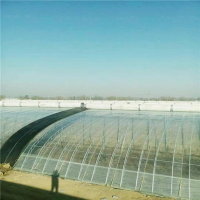 聚焦云阳现代农业 葡萄大棚温室工程参观纪实与产业发展启示