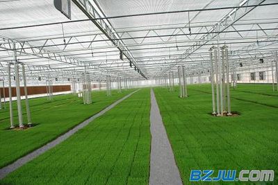 专业引领，品质为先——探析山东温室工程建造设计与施工服务