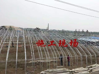 专业温室工程解决方案 山东翰润——您值得信赖的合作伙伴