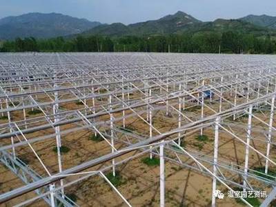 中荷共建高标准温室 创新种植模式与工程技术的完美融合