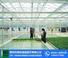 探索现代农业 日光温室大棚工程与鑫和温室园艺的专业解决方案