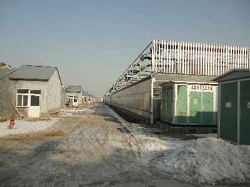 专业引领，匠心筑造——聚焦山东温室工程建设与金源丰的卓越实践